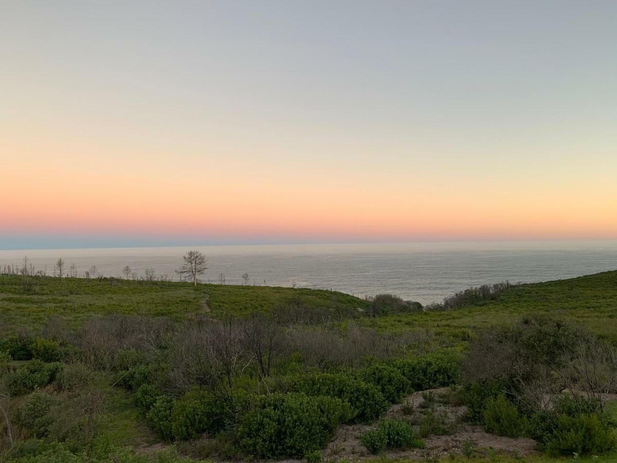 Trinity Farm Ocean View Cottage Plettenberg Bay Zewnętrze zdjęcie